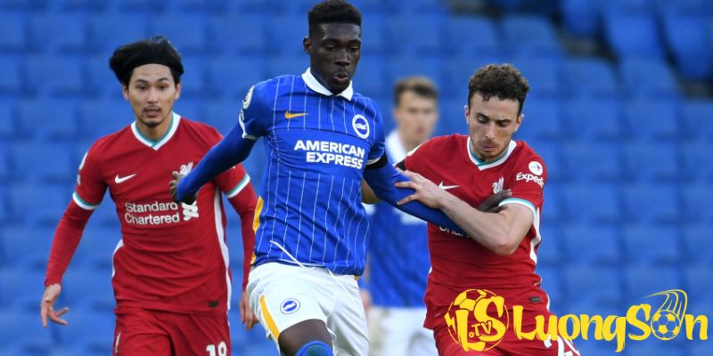 Phân tích kèo trận 13/12 giữa Liverpool vs Brighton & Hove Albion